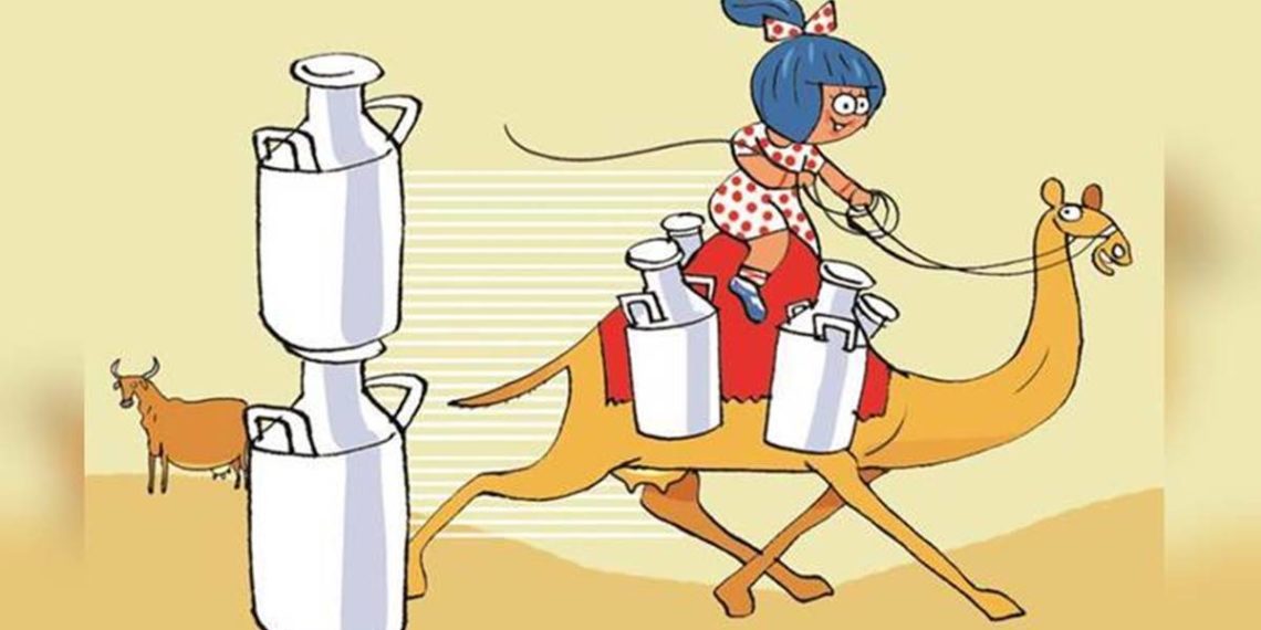 Camel milk can now be stored for 180 days