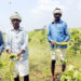 Odisha aims to reach out to 19 lakh farmers thru coops