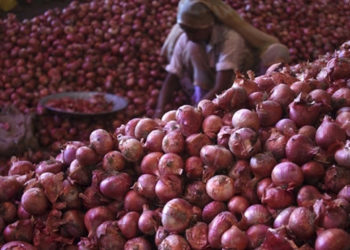 Nafed fails to check onion prices