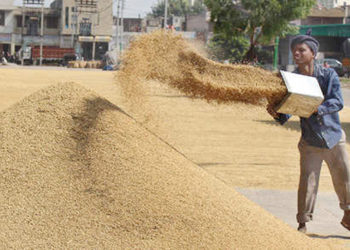 Procurement for Kharif registers a rise of 20%