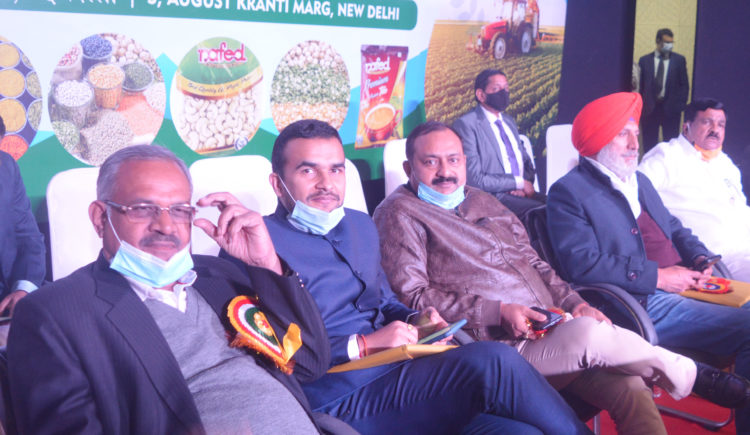 Nafed creates history of sorts; doles out 20% dividend