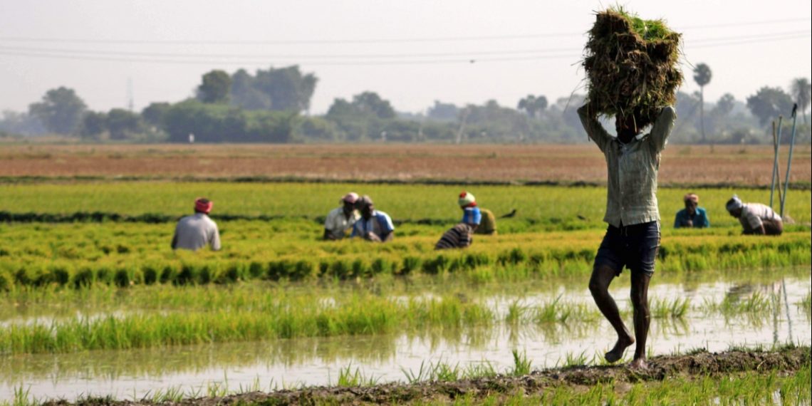 Bihar’s co-op banks disburse meagre loans to farmers