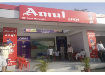 Amul to produce mozzarella cheese