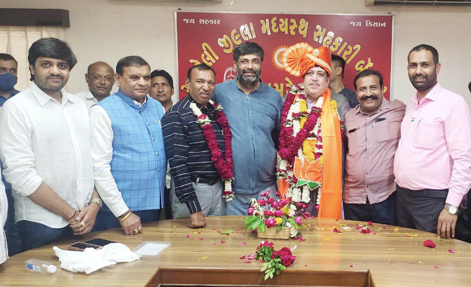 Amreli DCCB: Sanghani continues to be rooted; wins 6th time