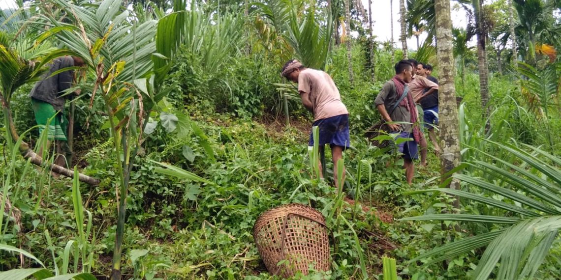 Campco procurement go unhindered