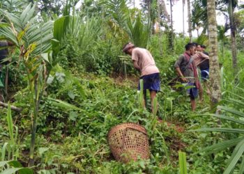 Campco procurement go unhindered