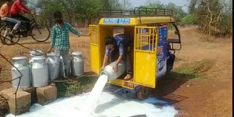 Chhattisgarh dairy farmers throw away milk down the drain