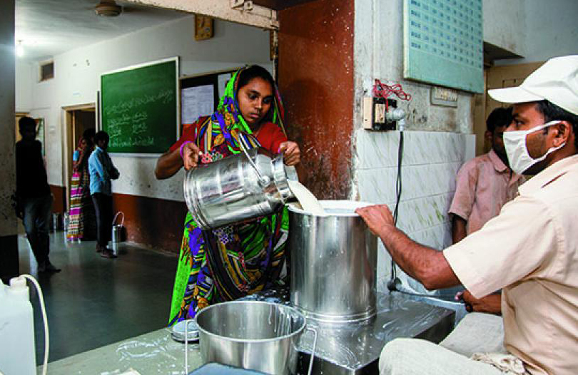 NDDB-GCMMF to study genomic selection of cattle