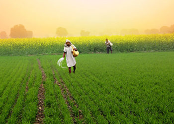 Maha govt mulls its own Farm Laws