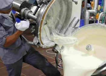 PETA again locks horns with Amul on Djokovic