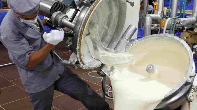 PETA again locks horns with Amul on Djokovic