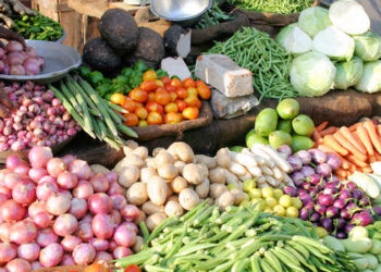 TVPMCU: Govt eager to allot land to Veg Co-op in Bihar