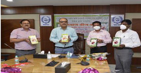 Nafed launches High Yielding Onion Seeds variety