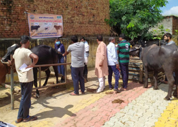 When IFFCO came to the rescue of animals