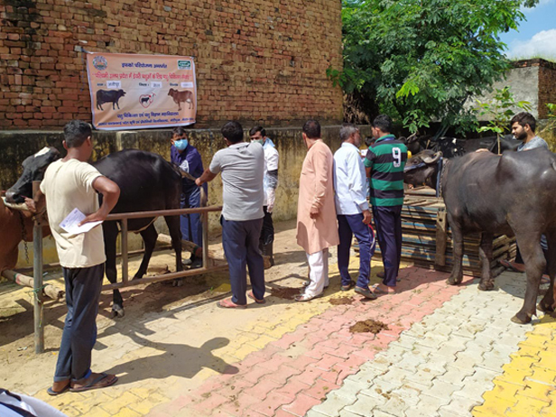 When IFFCO came to the rescue of animals