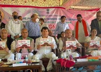 Nafed Saffron procured from Pulwama park, launched