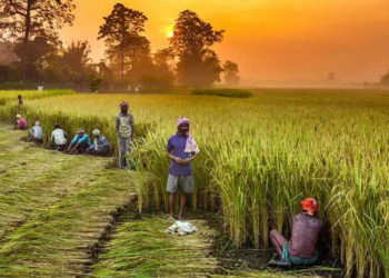 UP PACS comes to rescue of 18 lac farmers