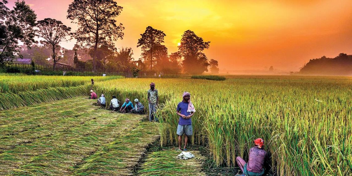 Nabard largess to MP