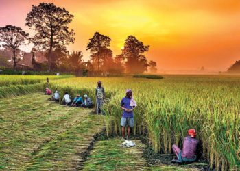 Nabard largess to MP