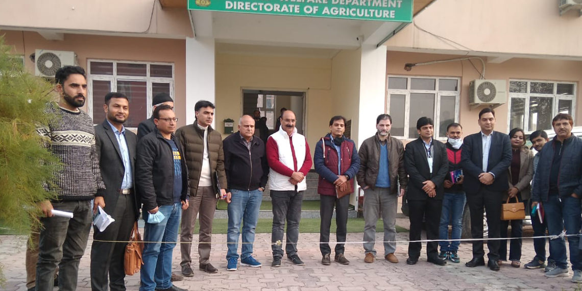 Nafed to launch GI tagged Kashmir Saffron