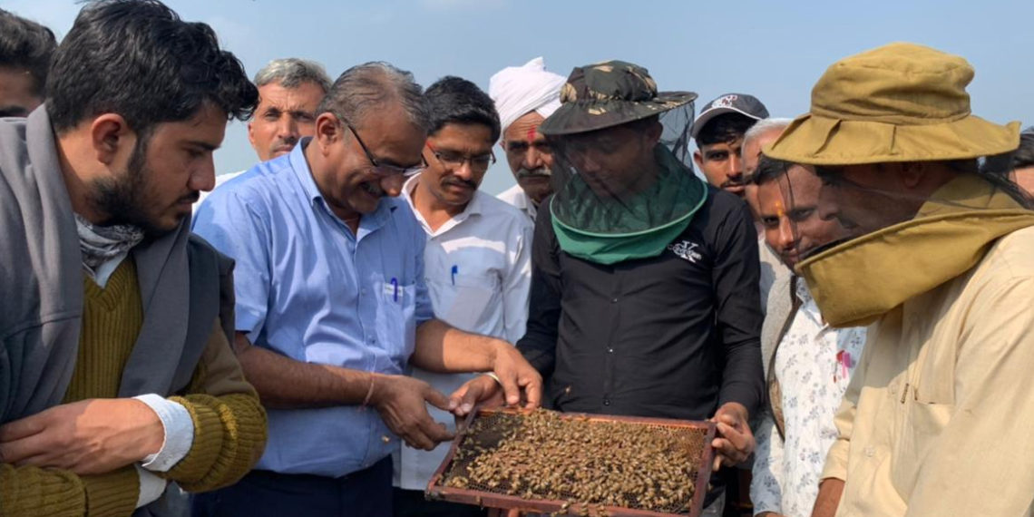 NDDB trains on scientific beekeeping in Gujarat
