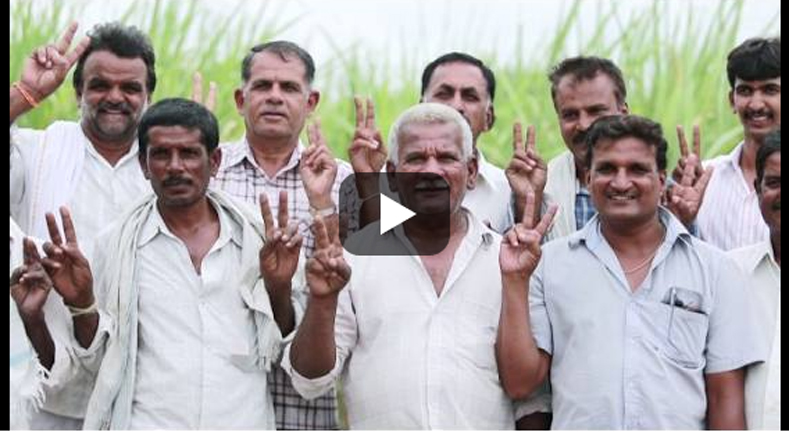 IFFCO’s theme song now available on top music platforms