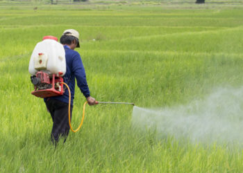 HAFED to sell IFFCO’s Nano Urea