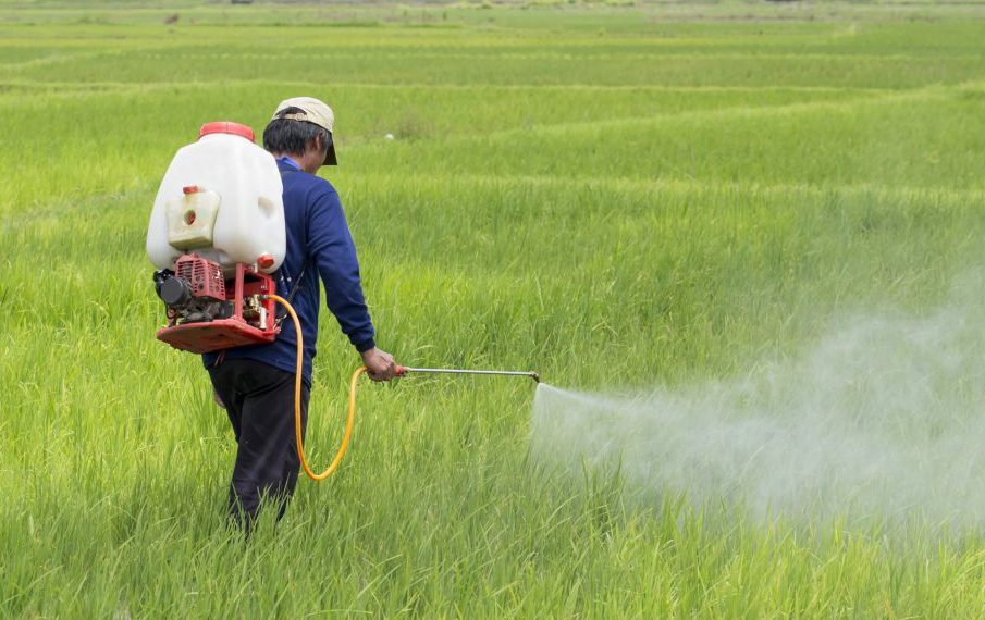 HAFED to sell IFFCO’s Nano Urea