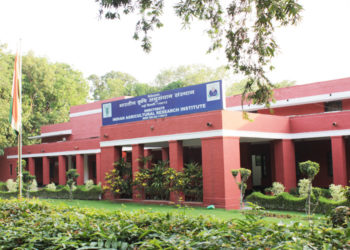 Krishi Vigyan Mela attracts visitors