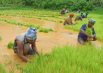 Agri Infra Fund portal receives 19000 applications