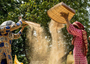 225 women FPOs promoted so far: Minister