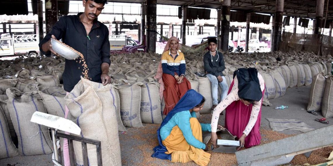 Sanghani led Gujcomasol breaks record in gram procurement