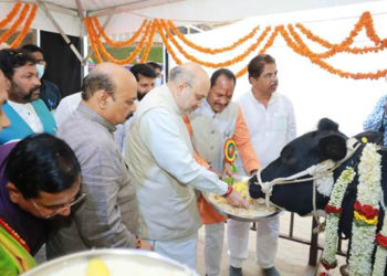 PM created ecosystem for co-op growth; we have to act now: Shah