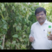 KVK scientist discovers magic of Nano Urea; Video goes viral
