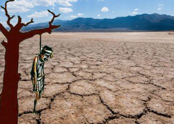 Farmer kills self on being not able to pay DCCB loan