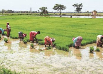 Co-op banks report huge loan arrears in Haryana