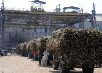 Co-op sugar mills will be made stronger: Minister