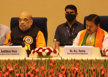 Model bylaws released; PACS can run schools, hospitals and whatnots!