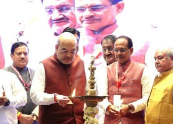 Boosting Marketing: Shah asks Nafed to expand beyond govt procurement