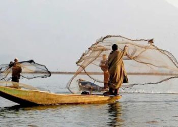 World Fisheries Day today; Best fish co-op to be awarded