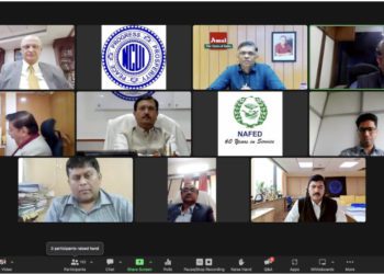 NCUI brainstorms on co-op export; Co-op Captains attend