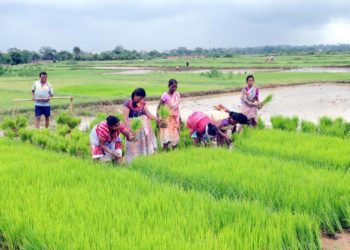 PM KISAN, a game changer DBT Scheme