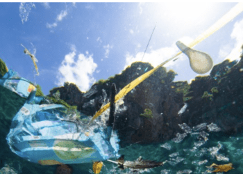 Coop Italia removes 42 tons of plastic from sea