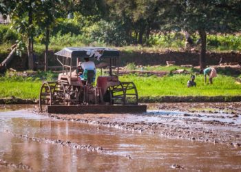 Co-op Export House: Co-ops to play role in commodity trade