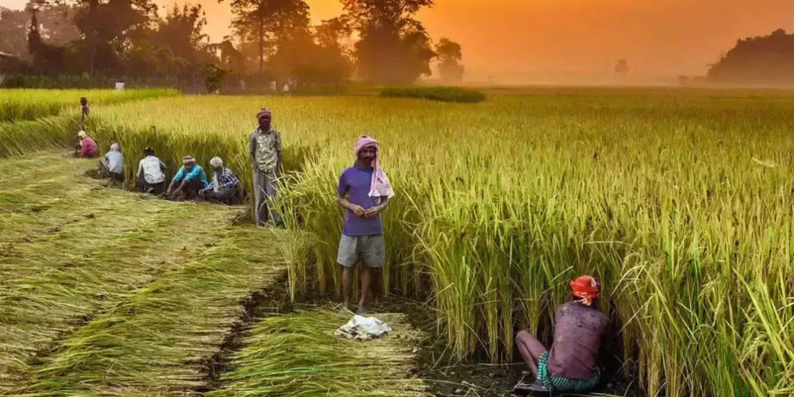 RS: Shah gives details of co-op societies in agri, dairy & fisheries