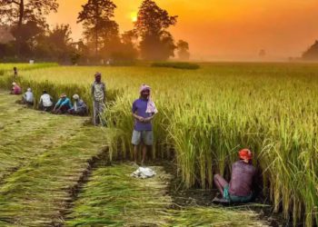 RS: Shah gives details of co-op societies in agri, dairy & fisheries