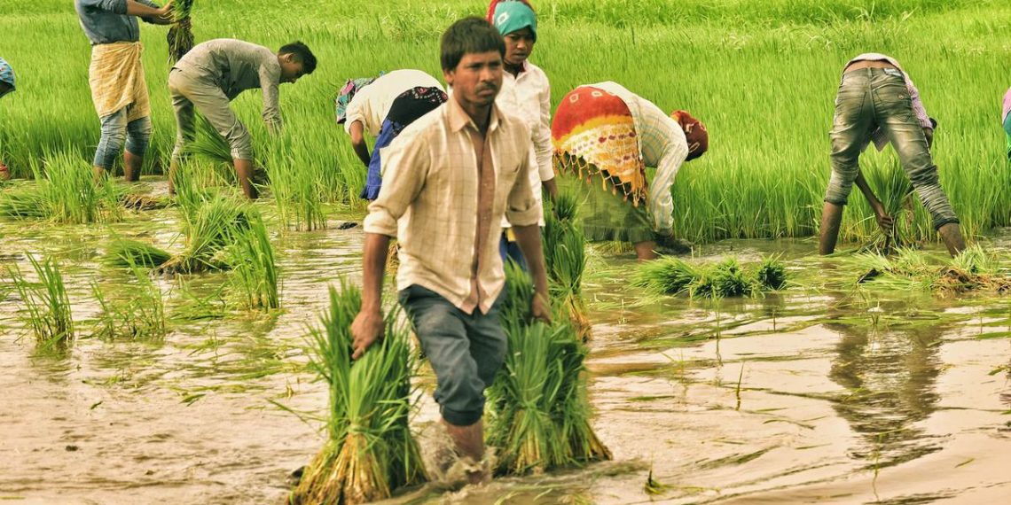 Close to 50 thousand PACS in profit