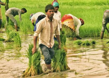 Close to 50 thousand PACS in profit