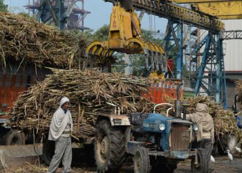 Patil elected Prez of Maha Co-op Sugar Factory Association