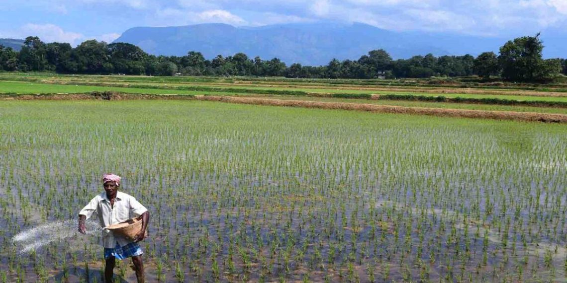 Biofertilizer not compulsory: Tomar in House